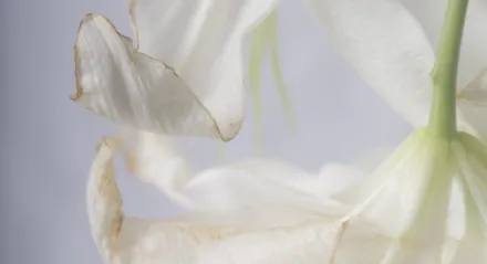 prace uczestników 6