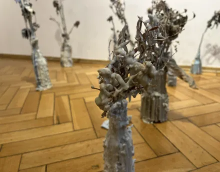 Karolina Lizurej, Namiastki - wystawa SCEK