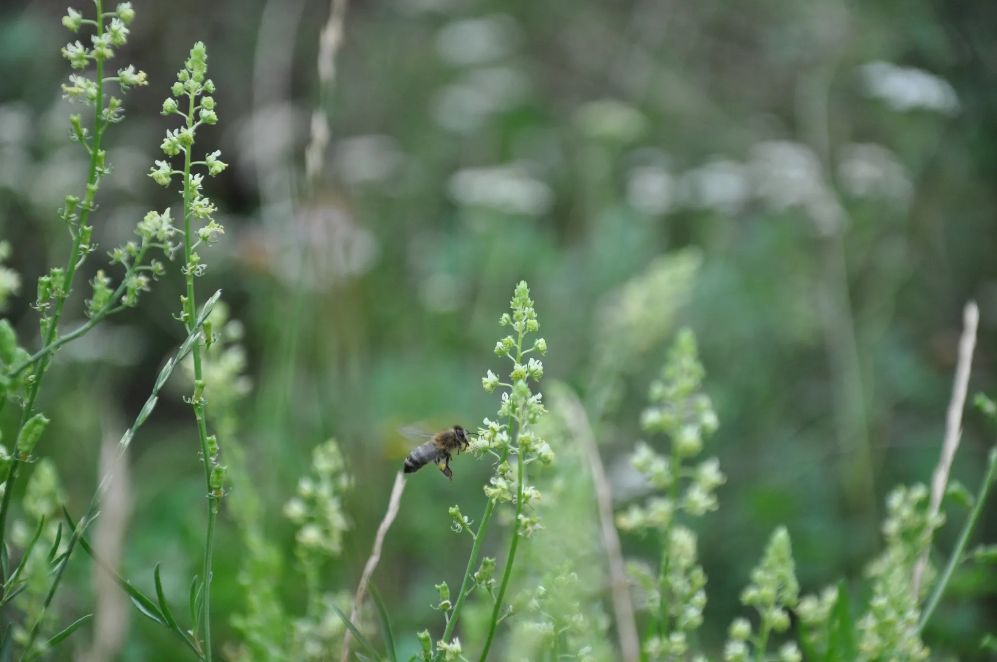 Letnia Akademia Dziennikarstwa 1