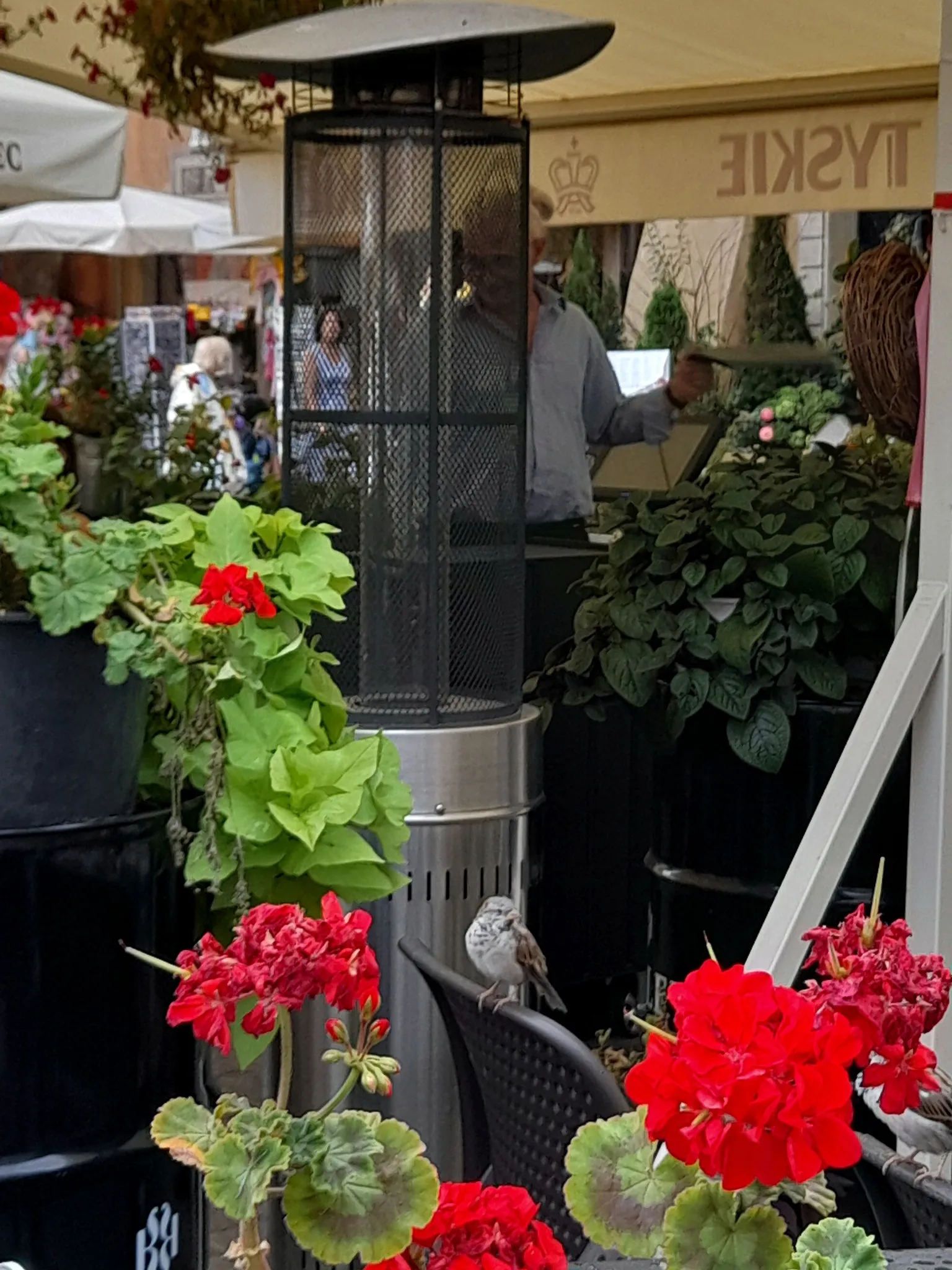 Letnia Akademia Dziennikarstwa 3