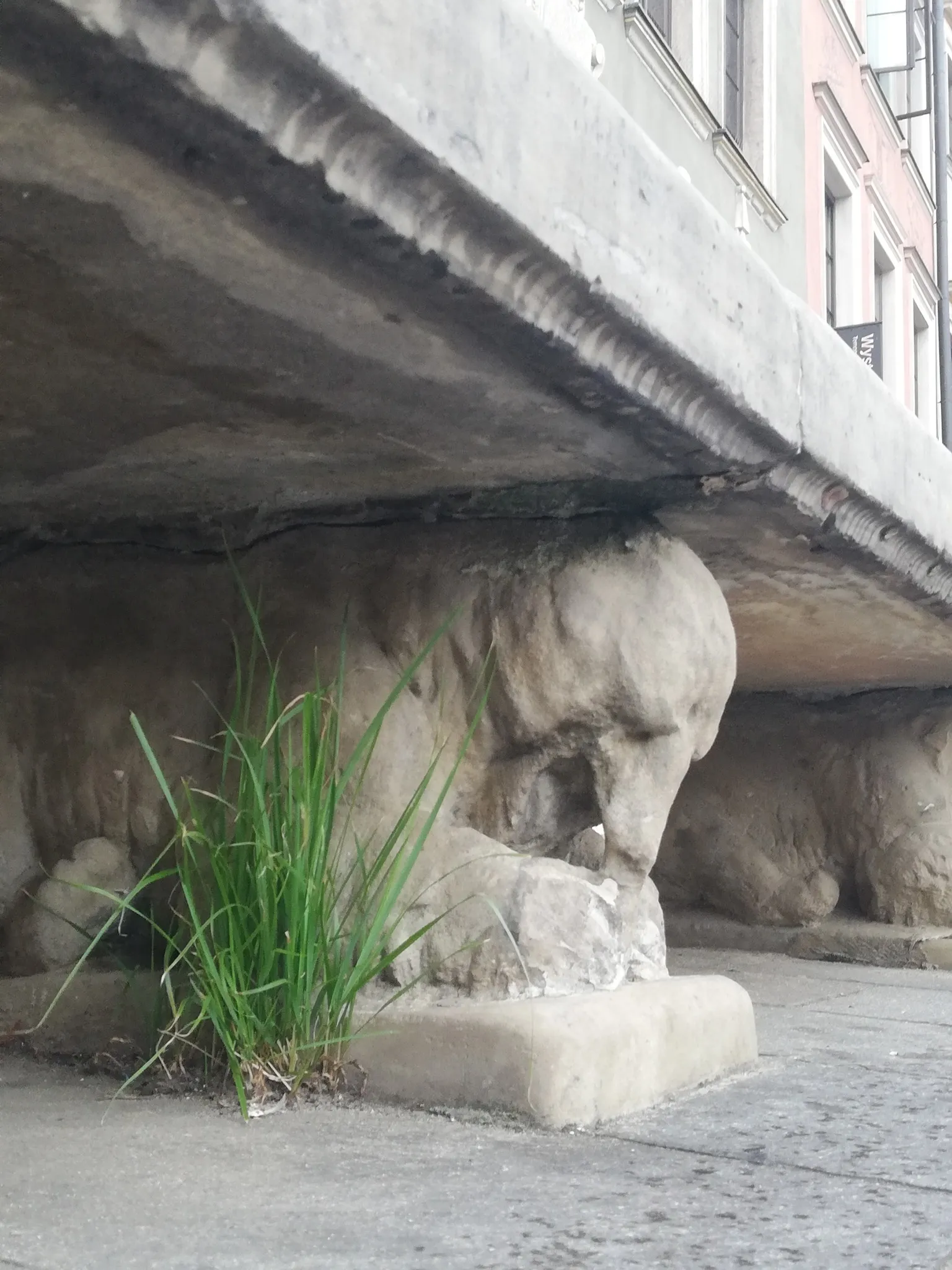 Letnia Akademia Dziennikarstwa 4