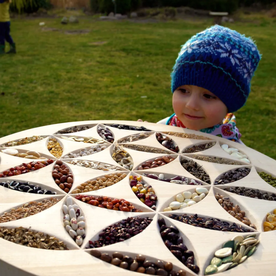 Pokaz edukacyjny filmu