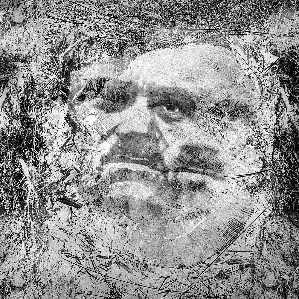 Anna Plewka, Galeria Abakus 