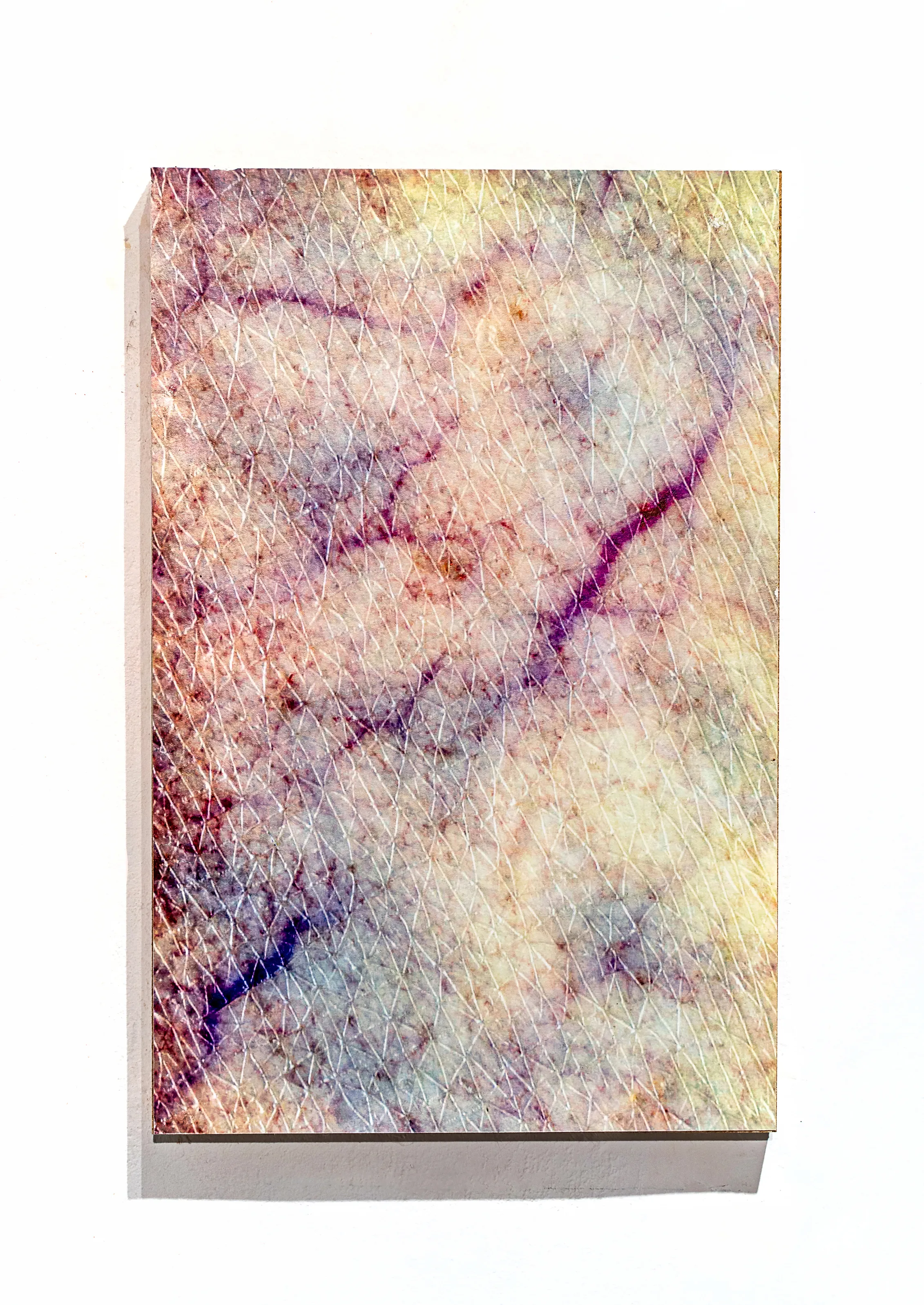 Jolanta Rycerska | SKÓRY,  Galeria Abakus SCEK