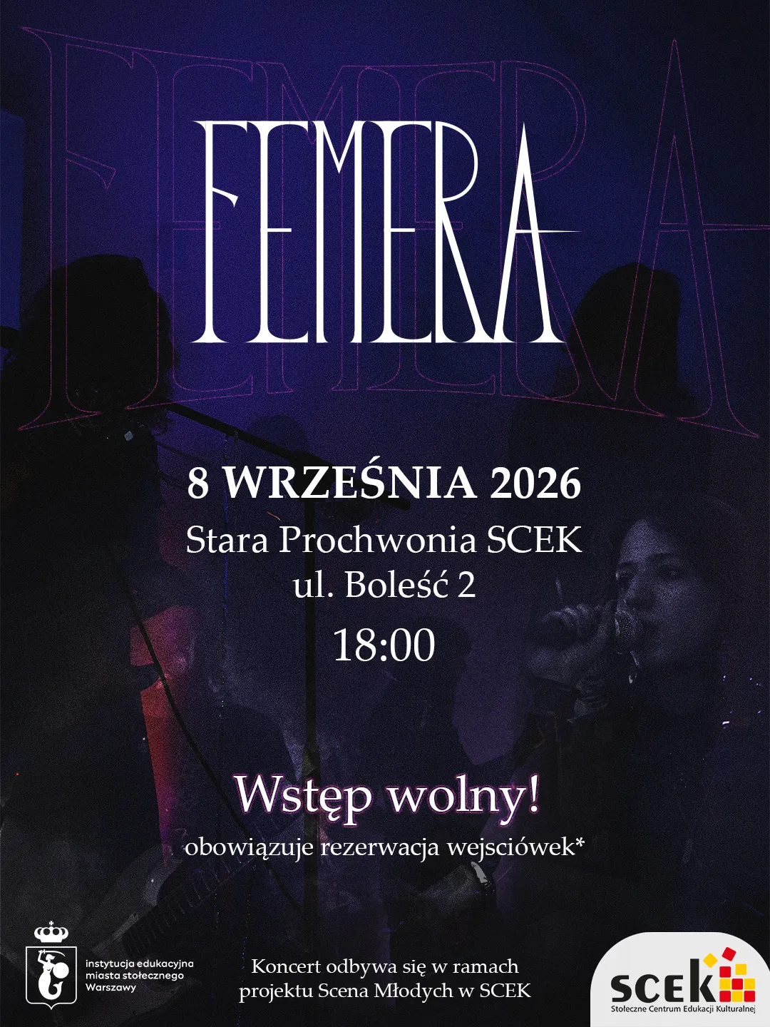 Plakat zespołu Femera