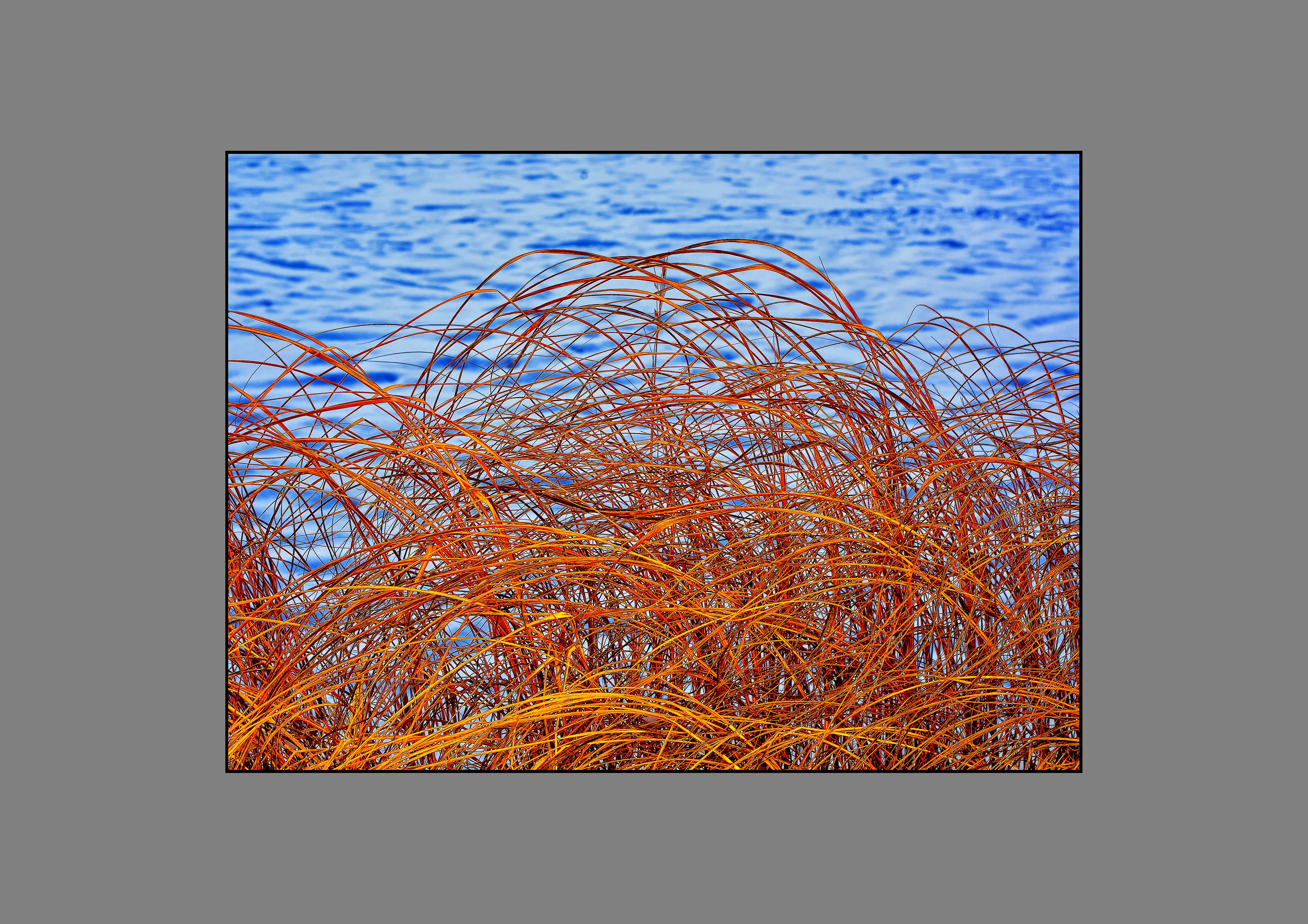 Stan Atava | NATURE - GOD’S ART
